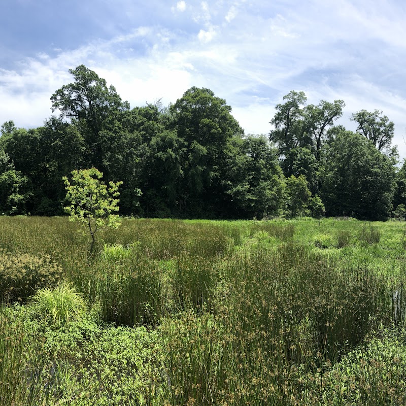 Oxbow Meadows Environmental Learning Center