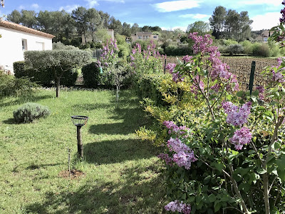 Agence immo Ferrandi Immobilier à Brignoles