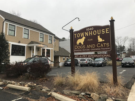 Town House For Dogs & Cats