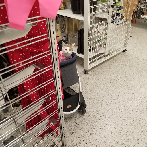 Clothing Store «Ross Dress for Less», reviews and photos, 2128 N 2nd St, Millville, NJ 08332, USA