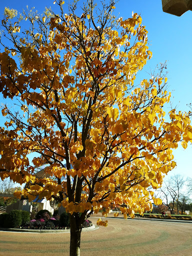 Cultural Center «Minnetrista», reviews and photos, 1200 N Minnetrista Pkwy, Muncie, IN 47303, USA