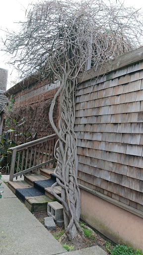 Gym «Harbor Bay Club», reviews and photos, 200 Packet Landing Rd, Alameda, CA 94502, USA