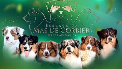 Elevage du Mas de Corbier à Saint-Pardoux-Corbier
