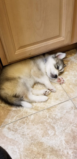 Hobby Store «ETS Hobby Shop», reviews and photos, 215 S Main St, Edinburg, VA 22824, USA