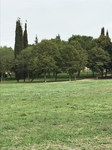 Parco Recintato Per Cani