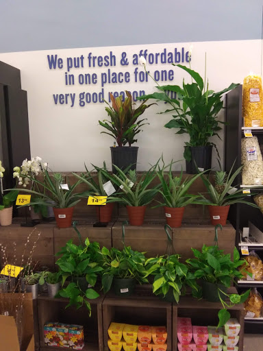 Grocery Store «Food Lion», reviews and photos, 30214 Sussex Hwy Unit 5, Laurel, DE 19956, USA