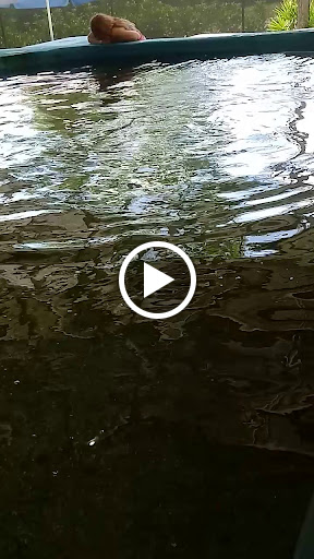 Aquarium «St. Augustine Aquarium», reviews and photos, 2045 FL-16, St Augustine, FL 32084, USA