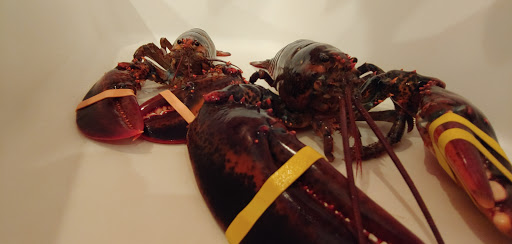 Seafood Market «Parsons Lobsters», reviews and photos, 64 Eagle Lake Rd, Bar Harbor, ME 04609, USA