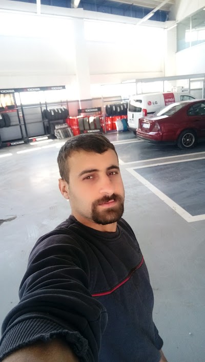 car-dealer