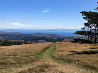 Mt Kaukau Summit Hike — Simla Crescent Trailhead