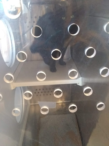 Pet Supply Store «Petsense Cleburne», reviews and photos, 1301 W Henderson St, Cleburne, TX 76033, USA