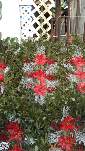 Produce Market «Hudson Farmers Market», reviews and photos, 3437 John F. Kennedy Blvd, Jersey City, NJ 07307, USA