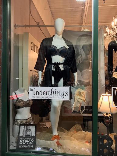 Lingerie Store «Her Underthings», reviews and photos, 1704 Western Ave, Albany, NY 12203, USA