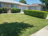 Burris Brothers Landscaping - Car repair in , Merced - Rated 0.0/5