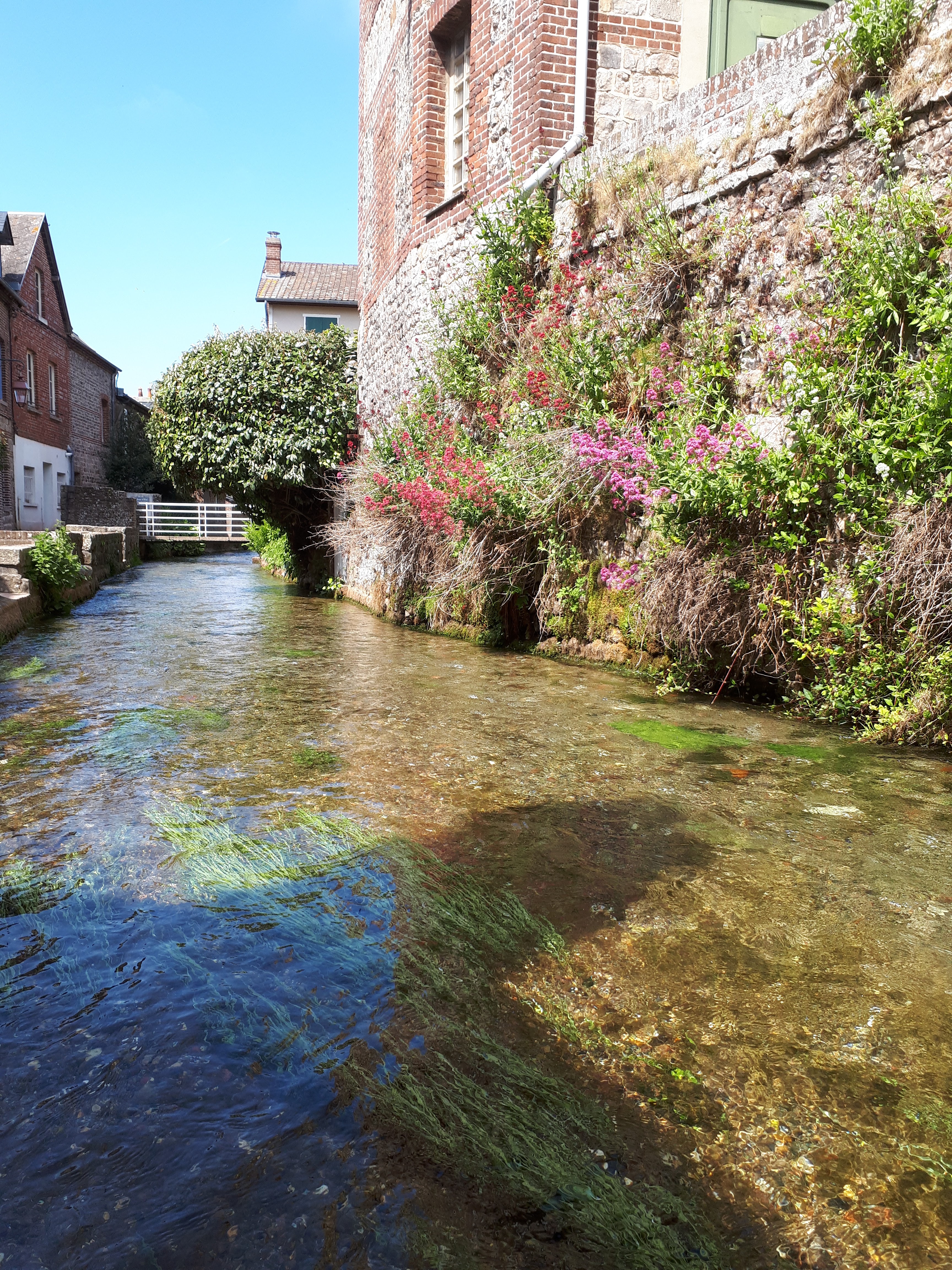 Photo n° 17 de l'avis de Didier.a fait le 11/05/2019 à 13:21