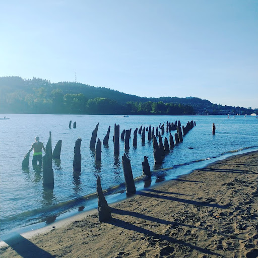 Park «Sellwood Park», reviews and photos, SE Miller St & SE 7th Ave, Portland, OR 97202, USA