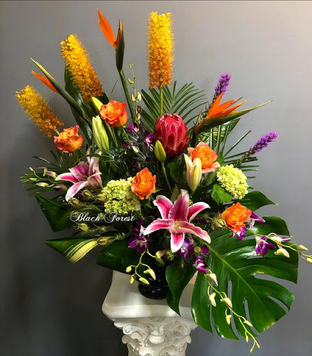 Florist «Black Forest Flowers and Gifts», reviews and photos, 3426 Tampa Rd, Palm Harbor, FL 34684, USA