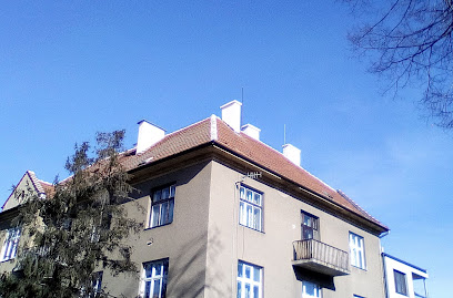 Pokrývač Brno,opravy komínů.