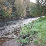 Photo n°8 de l'avis de Ditmar.a fait le 16/10/2021 à 14:37 sur le  Gaststätte Rüdenstein à Solingen
