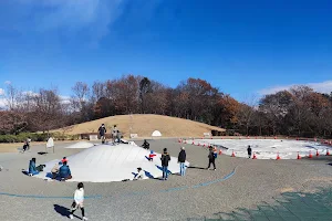 Kannon-yama Family Park Fuwa-Fuwa Dome image
