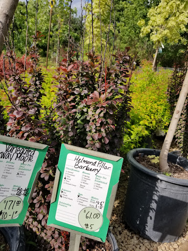 Garden Center «Lilydale Garden Center», reviews and photos, 941 Sibley Memorial Hwy, St Paul, MN 55118, USA