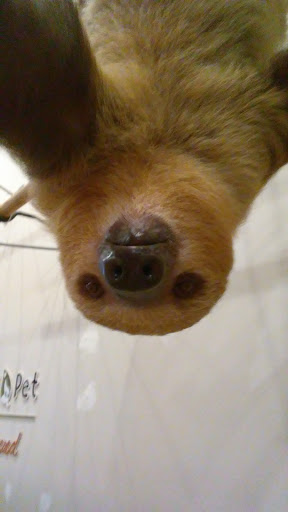 Pet Supply Store «EarthWise Pet Supply - Flower Mound», reviews and photos, 2311 Cross Timbers Rd #307, Flower Mound, TX 75028, USA