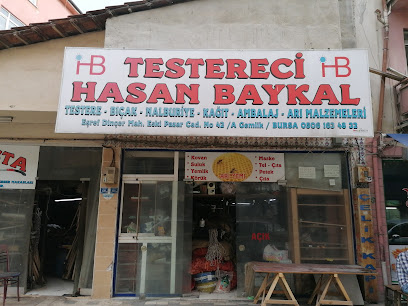 Testereci Hasan Baykal