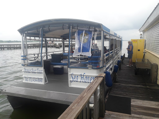 Tourist Attraction «Premier Boat Tours», reviews and photos, 100 Alexander St, Mt Dora, FL 32757, USA