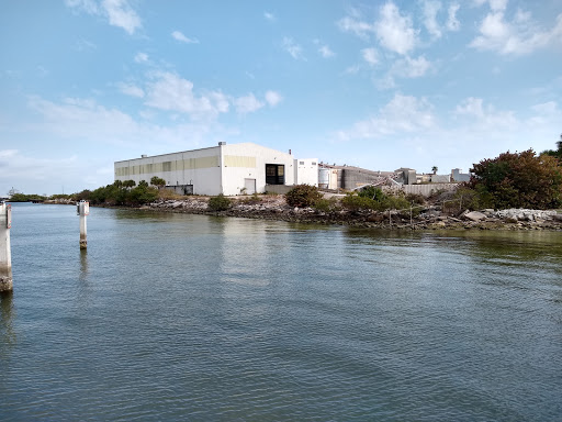 Department Store «Walmart Supercenter», reviews and photos, 1505 N Dale Mabry Hwy, Tampa, FL 33607, USA