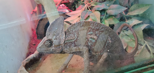 Pet Supply Store «Atlas Pet Supply», reviews and photos, 1798 Market Dr, Stillwater, MN 55082, USA