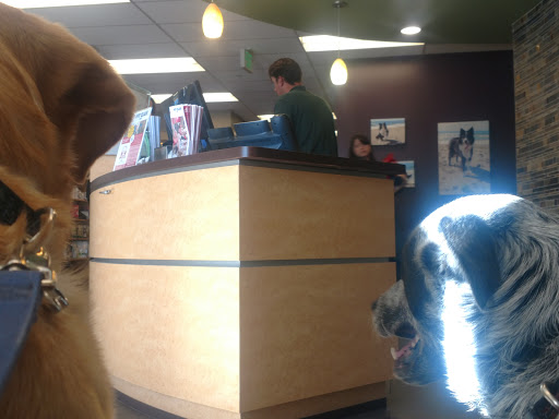 Adobe Animal Hospital South Bay image