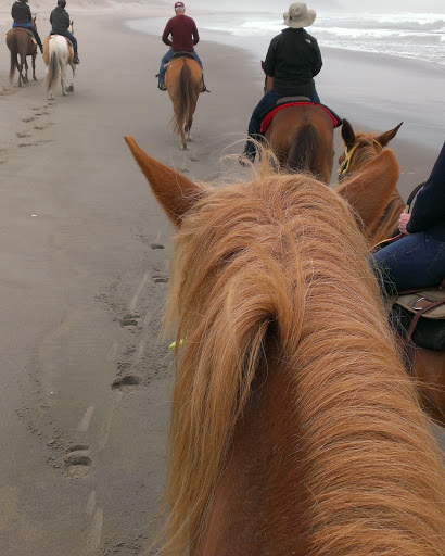 Horse Boarding Stable «Green Acres Beach & Trail Rides», reviews and photos, 5985 Pacific Ave, Cloverdale, OR 97112, USA