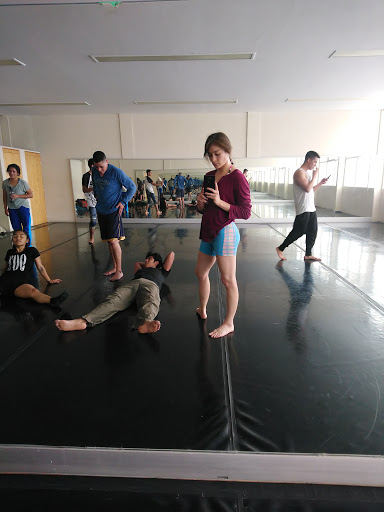 Contemporary dance schools in Mexico City