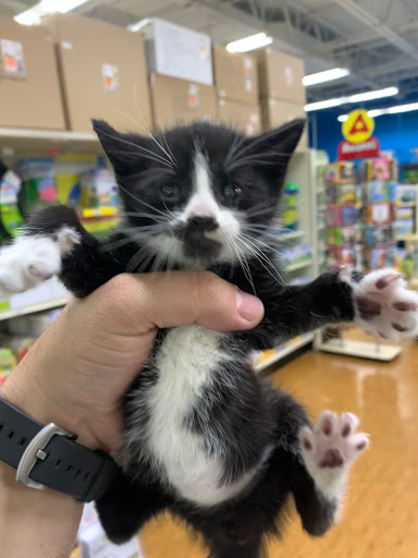 Pet Supply Store «Pet Supermarket», reviews and photos, 801 E Sunrise Blvd, Fort Lauderdale, FL 33304, USA