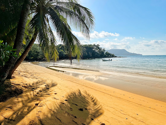 Lonely Beach