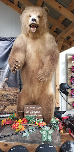 Motorcycle Dealer «Romney Cycles», reviews and photos, 51 Industrial Park Rd, Romney, WV 26757, USA