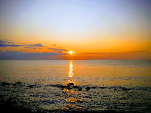 Nature Preserve «Kenosha Sand Dunes», reviews and photos, 7th Ave, Pleasant Prairie, WI 53158, USA