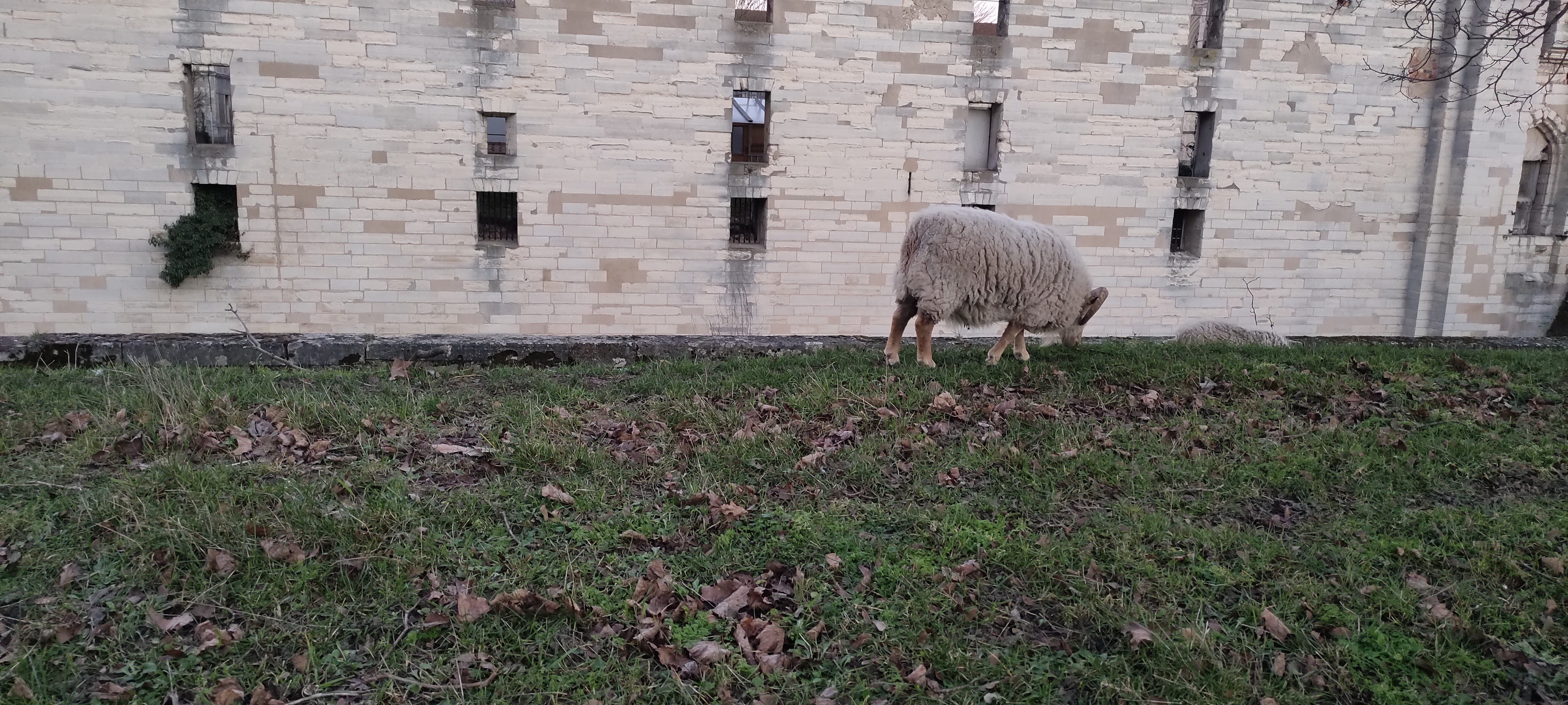 Photo n° 18 de l'avis de Camilo.a fait le 28/02/2022 à 16:35