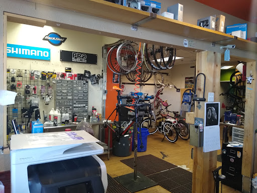 Bicycle Rental Service «Trailhead Bike Cafe», reviews and photos, 6825 N 16th St, Phoenix, AZ 85014, USA