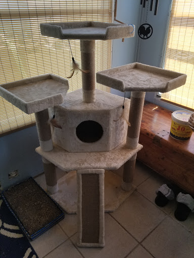 Pet Supply Store «PetSmart», reviews and photos, 1390 N Dupont Hwy, Dover, DE 19901, USA