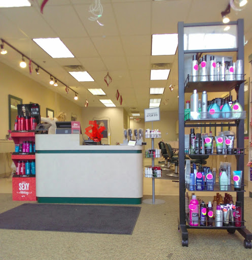 Hair Salon «BoRics Hair Care», reviews and photos, 2587 S Rochester Rd, Rochester Hills, MI 48307, USA