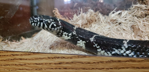 Nature Preserve «Fountain Rock Park & Nature Center», reviews and photos, 8511 Nature Center Place, Walkersville, MD 21793, USA