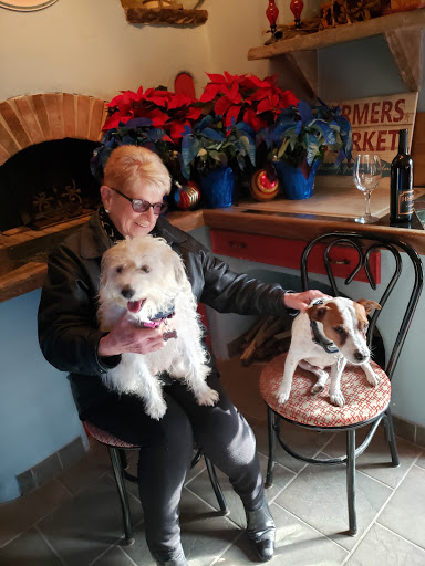 Vineyard «Harpersfield Vineyard», reviews and photos, 6387 OH-307, Geneva, OH 44041, USA