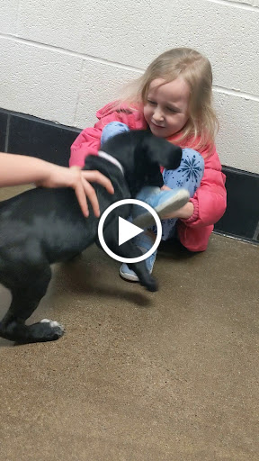 Animal Shelter «One of A Kind Pet Rescue», reviews and photos, 1929 W Market St, Akron, OH 44313, USA