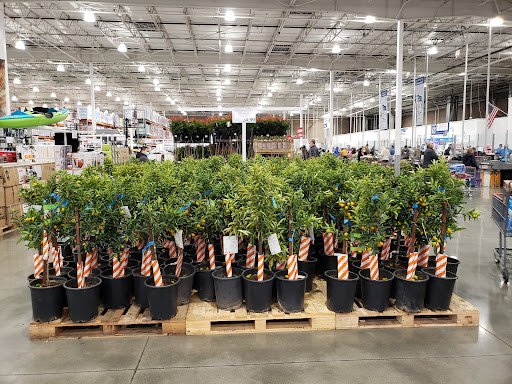 Warehouse store «Costco Wholesale», reviews and photos, 1800 Cavitt Dr, Folsom, CA 95630, USA