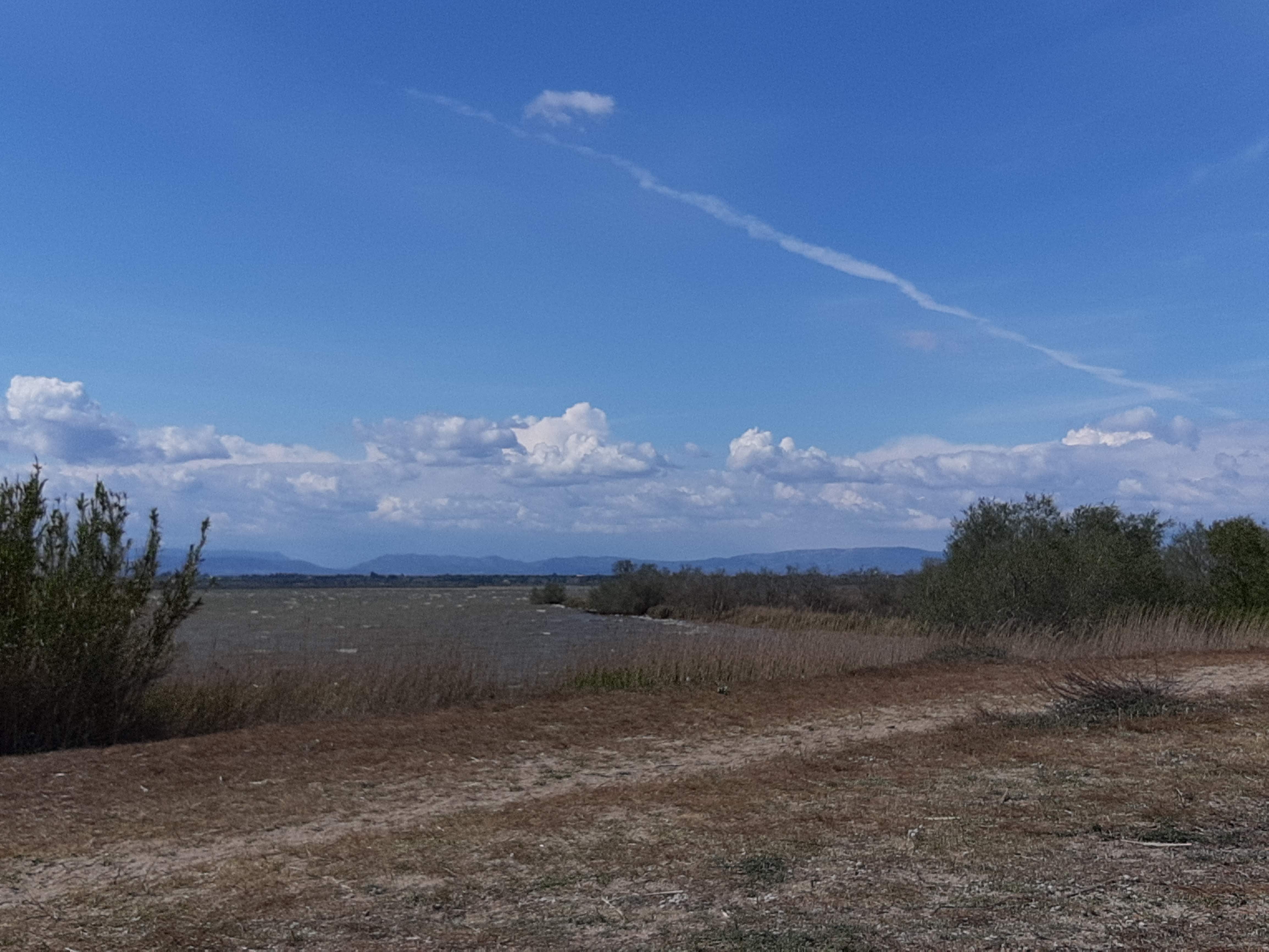 Photo n° 1 de l'avis de Émilie.a fait le 20/04/2019 à 07:24