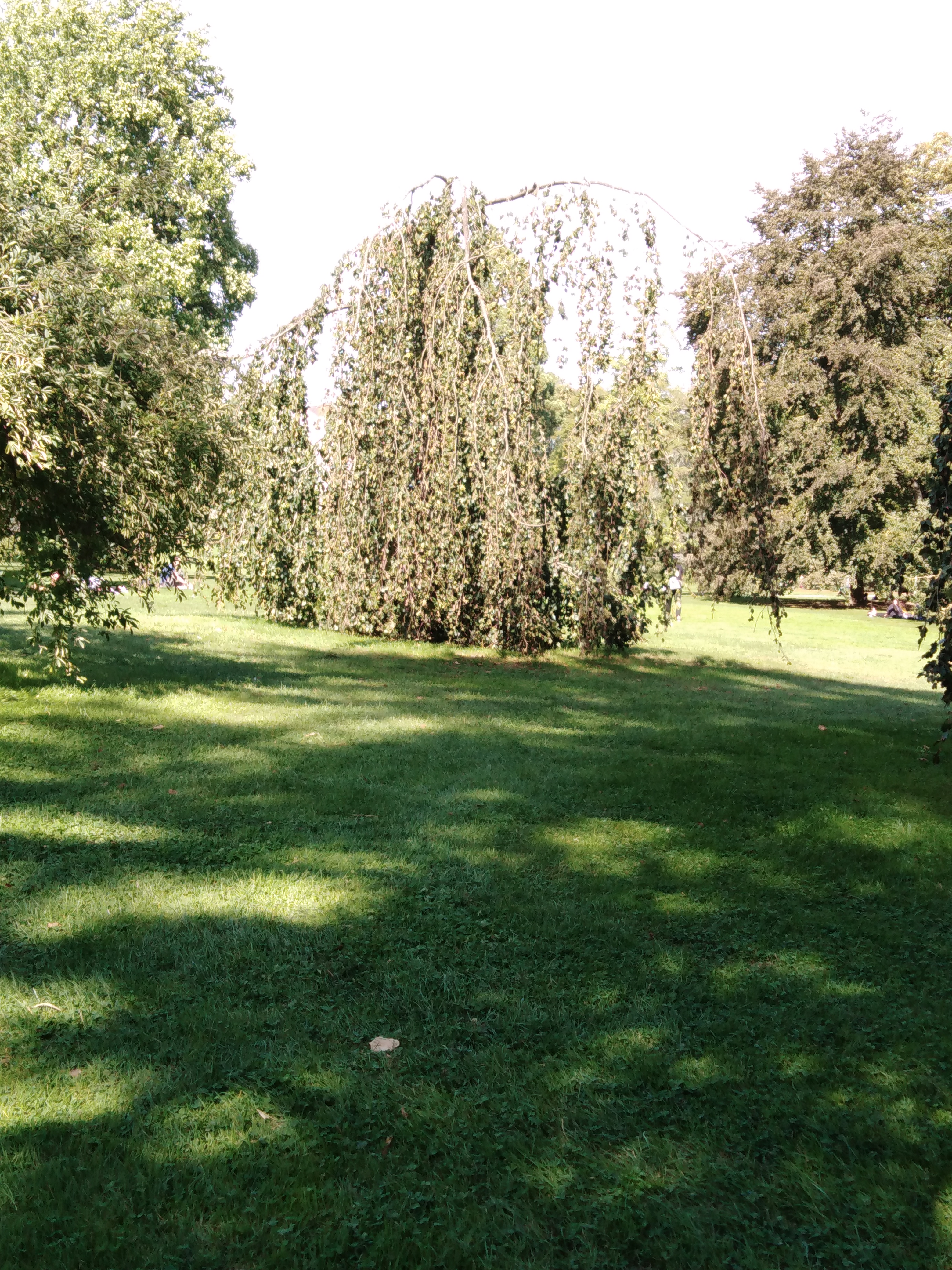 Photo n° 5 de l'avis de Pascale.o fait le 28/08/2020 à 14:19