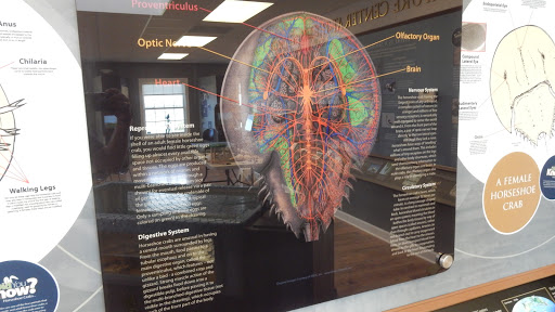 Nature Preserve «DuPont Nature Center», reviews and photos, 2992 Lighthouse Rd, Milford, DE 19963, USA