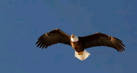 Canoe & Kayak Store «Cannon Falls Canoe and Bike Rental», reviews and photos, 615 N 5th St, Cannon Falls, MN 55009, USA