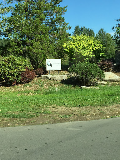 Golf Course «The Blue Heron Golf Course», reviews and photos, 1810 W Snoqualmie River Rd, Carnation, WA 98014, USA